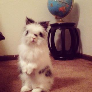 11754853_10206967443966611_1085523961333169704_o