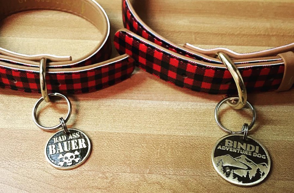 12402052_10208058281276862_2847343313170718894_o