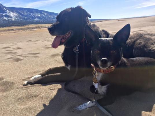 12814204_10208457075326464_4969513090515080830_n