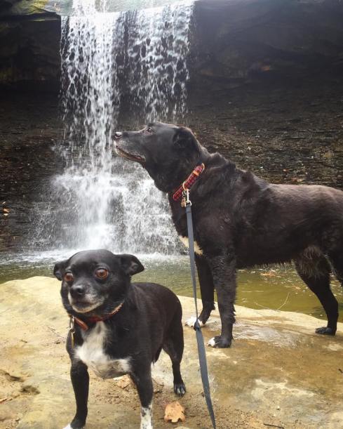 12919693_10208854835790227_318313972208301710_n