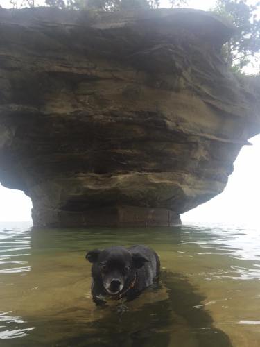 13612224_10209601160807886_5883254020622580532_n