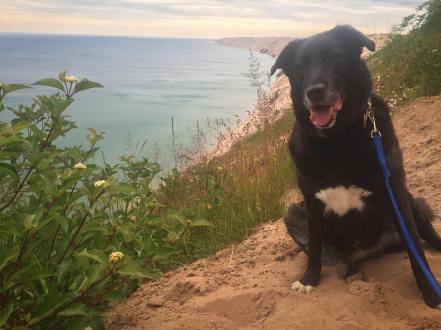 13723888_10209651082415895_6643064080836717985_o