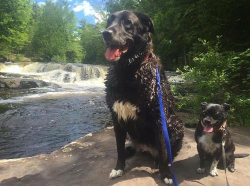 15826909_10211353403092848_3421462831742237650_n