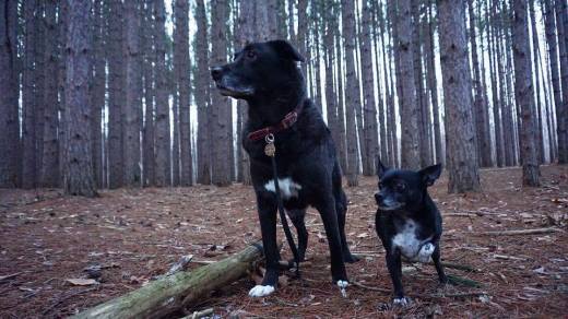 16508663_10211707088014750_621580122403775207_n