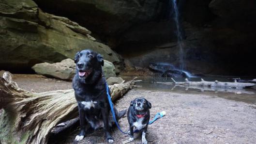 17021764_10211913414132774_7803666267946416593_n