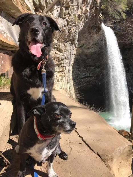 17425944_10212145116685193_8322121006453770911_n