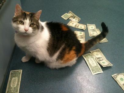 480934_4713787044669_694629413_n