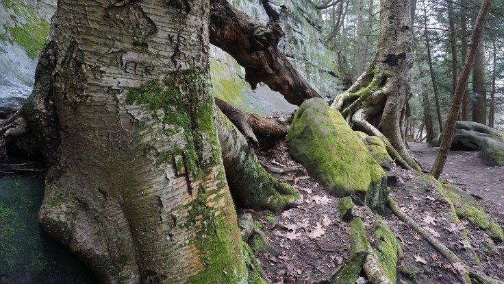 B854D6A6-7DA9-414F-B1F8-F6CC15C5C1F4