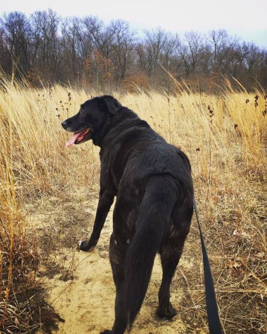 20864062_10213618622041906_1445181001_n