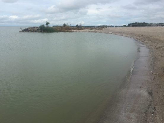 20883667_10213618624561969_1947643772_o