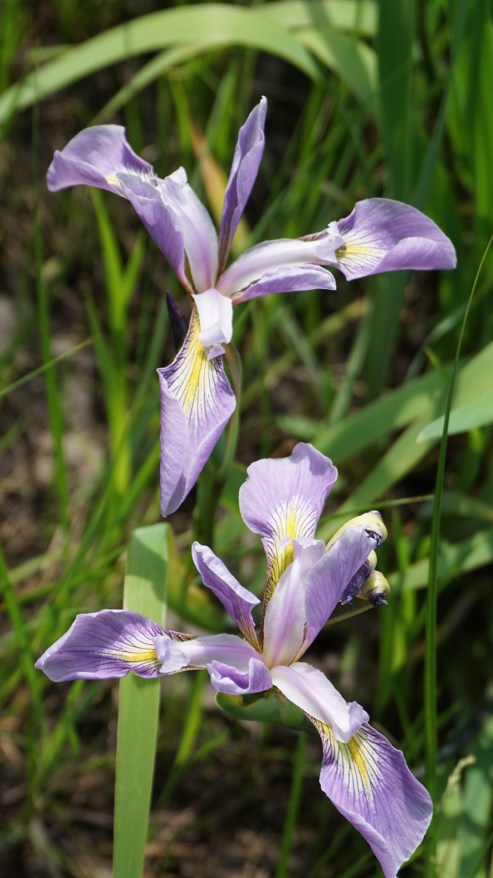 3703A574-2A28-4715-9179-F7EAC666FB97