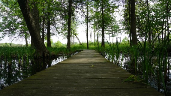 9B526652-6213-439D-82A7-6806E95F2DBB