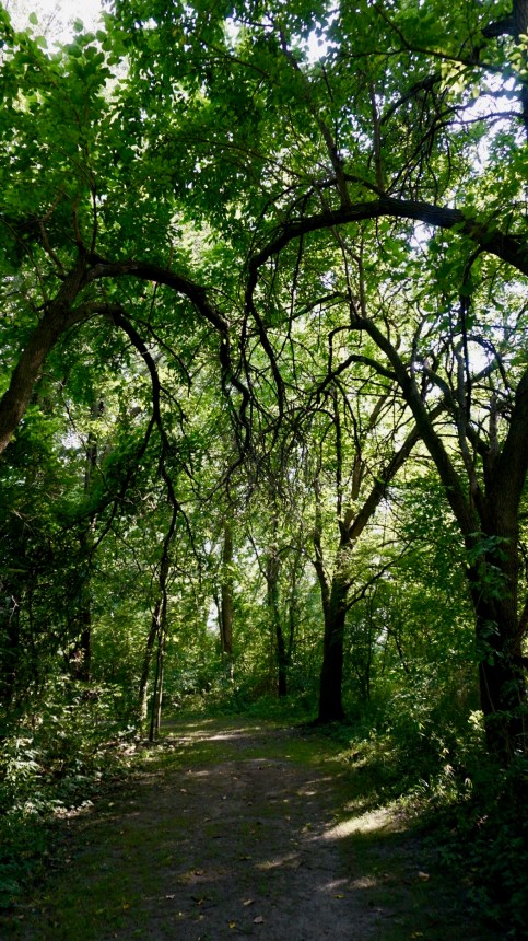 B4E6E50D-33AB-484F-9904-5A53D02702BA