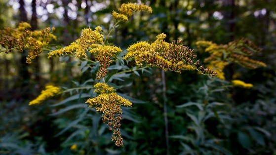 F197314A-2C6A-437F-AD3B-E8BF10B77F5D