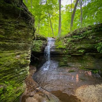 100531237_10222446299688330_6424929062275252224_o