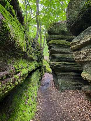 100536380_10222446303768432_8893030386834079744_o-1