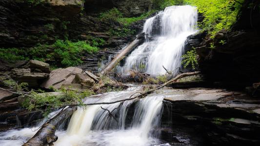 34532217_10216026482716918_3414293013688483840_o