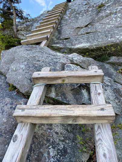 101302859_10222541988880500_1122652610919137280_o