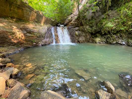 103257948_10222541989440514_4264319607671619584_o