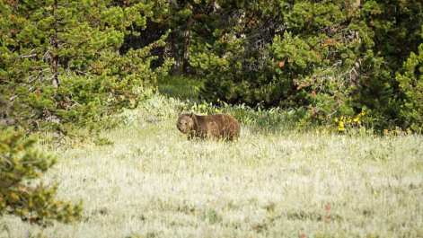 106195427_10222848501343120_5331665669435375294_n