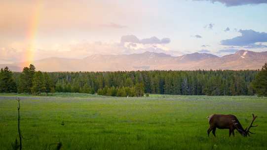 106201982_10222848292737905_9134808251338883972_o