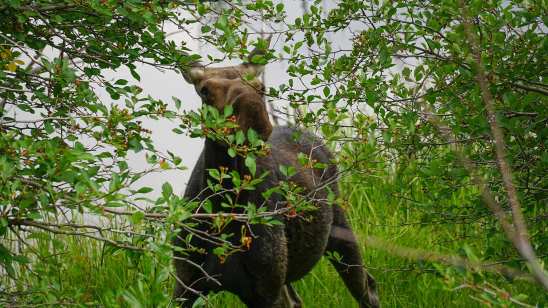 106218510_10222848496703004_2838354400775829922_o