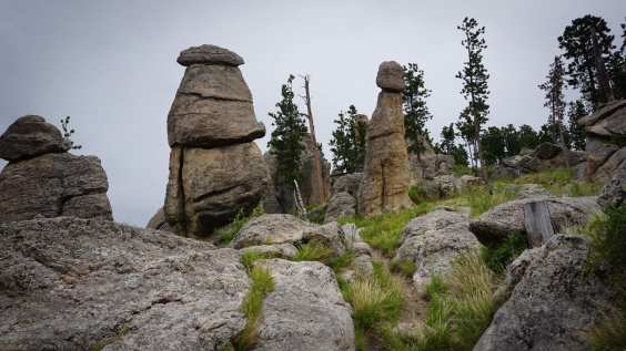 106321233_10222812654166963_9201954054376407763_o