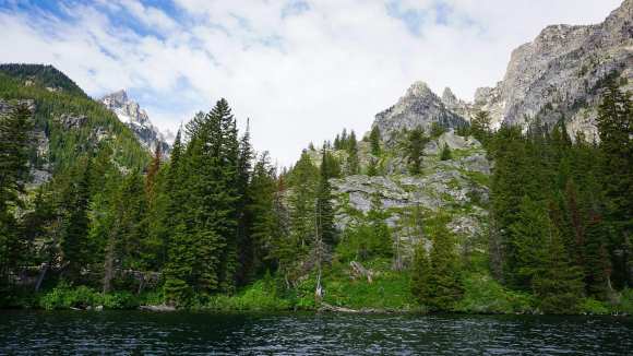 106412770_10222848502263143_2156102611211815742_o