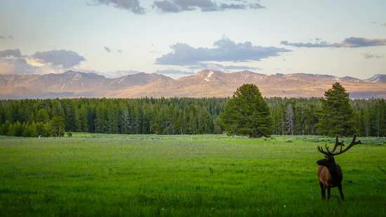 106508429_10222848293377921_2557385442203980278_o