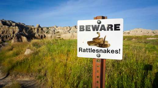 106508585_10222796357119547_1386888279805620095_o