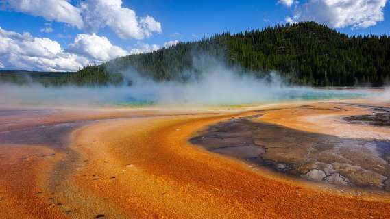 106531880_10222848293857933_7862153891677414194_o