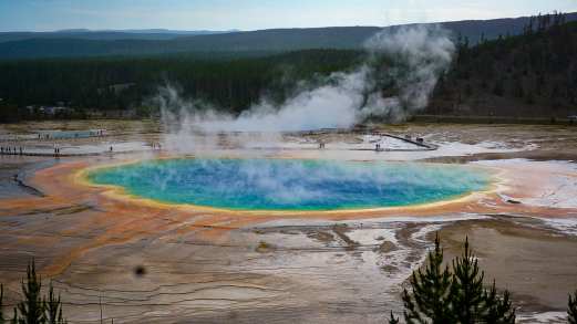 106925574_10222848586265243_1689181671579858024_o