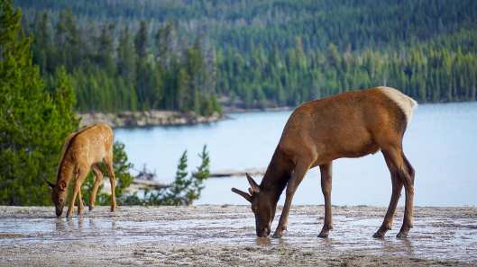 107236830_10222848587625277_5057726390620034042_o