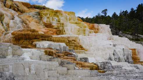 79717173_10222848590185341_5362399263311425060_o