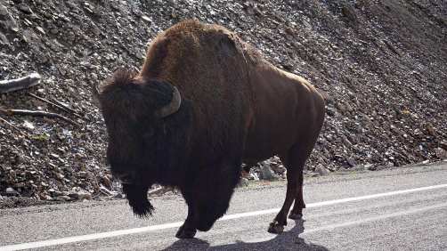 83316143_10222848287777781_2468268570063458877_o