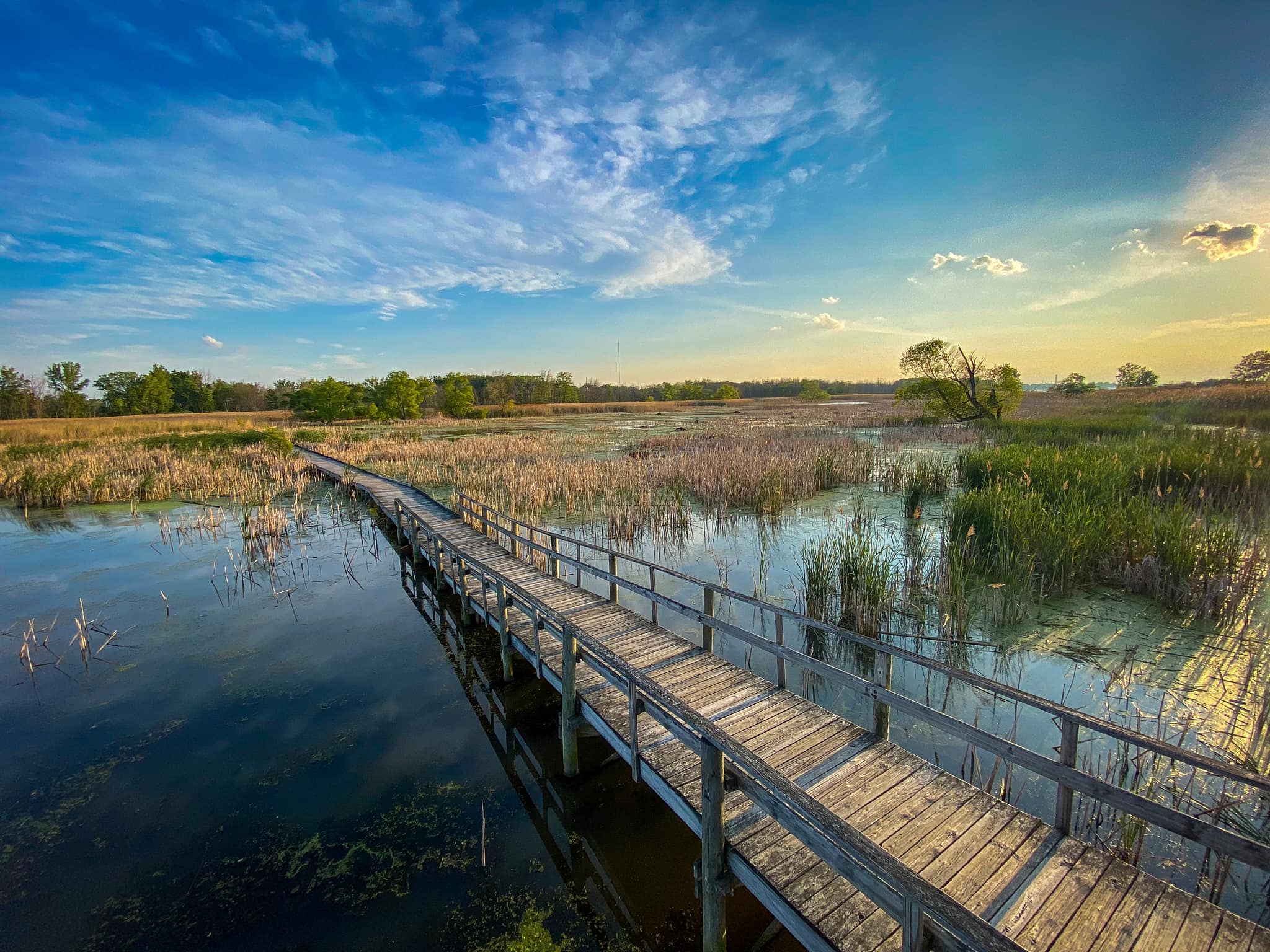 105015086_10222725719113641_7558307787731514692_o