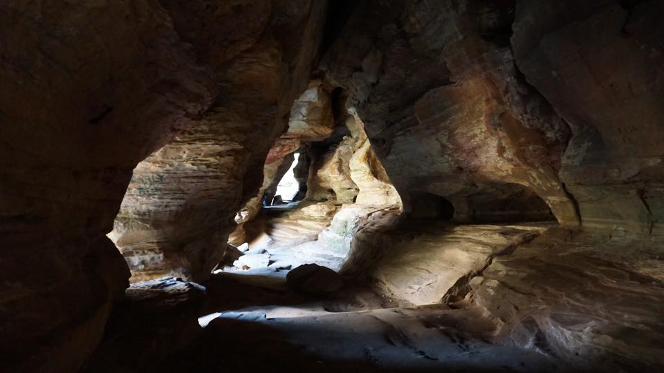 16995956_10211913417812866_6509417574599739190_n