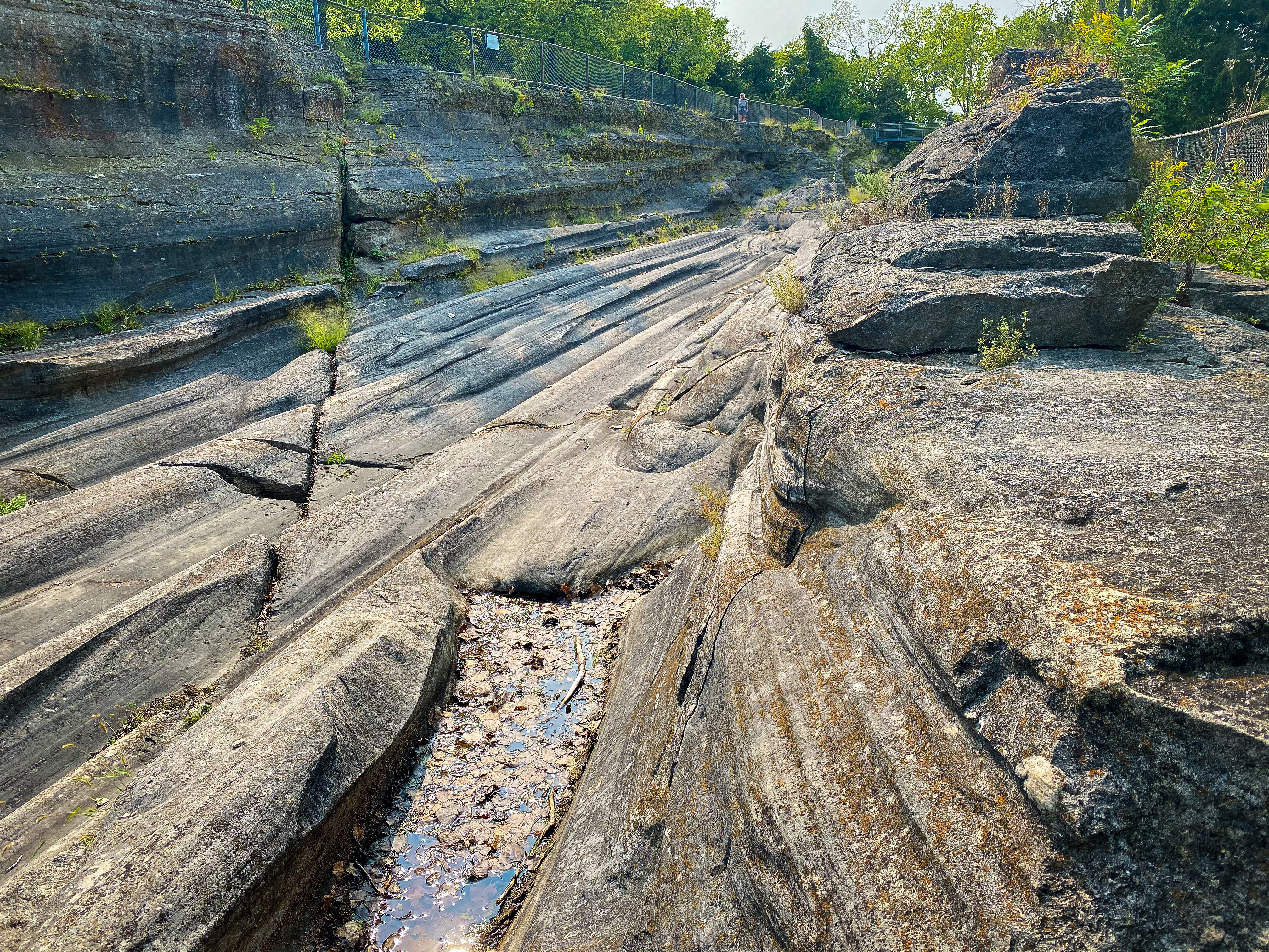 A90448F7-C89F-49C0-BEDE-90FAE616D14D