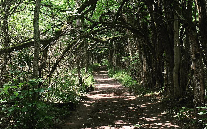 Sugarcreek0-4e0bd67a5056a36_4e0bd7fa-5056-a36a-067f153811aee169